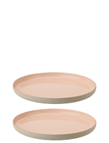 X 238 1 (1)